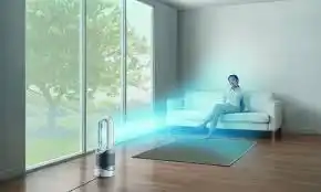 Dyson Am11 Vs Tp02 Comparisons: Which Air Cleaner Is Better? 10 Dyson coverage capacity