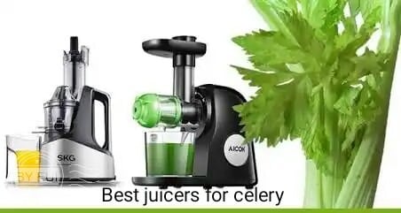 best celery juicers best celery juicer