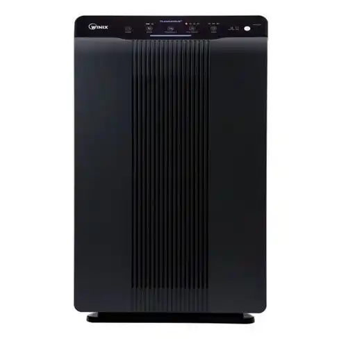 Winix 5500 2 Air purifier best air purifiers for mold