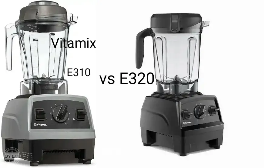 Comparison between the Vitamix E310 vs E320