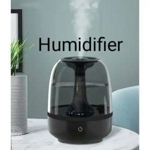 Is an air purifier the same as a humidifier