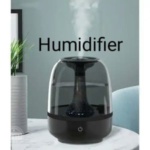 Air purifier vs Humidifier: Which Does Have Better Performance? 1 Is an air purifier the same as a humidifier