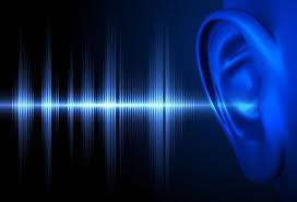 Why are blenders so loud?: How to soundproof it 2 reasons why blenders make noise
