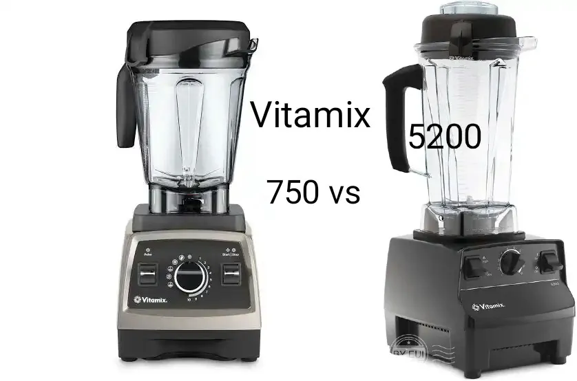 Vitamix 5200 vs 750 comparison