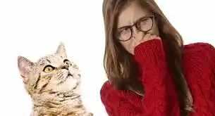 How can I reduce my cats allergens in my house