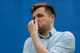 Can air purifiers remove odors: Easy Tips & Guidelines 2 Do air purifiers help with animal smells