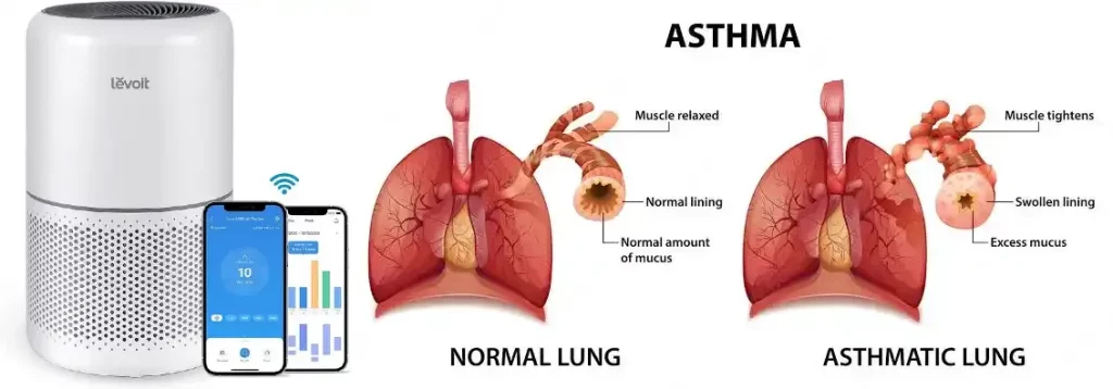 Can air purifiers help with asthma?