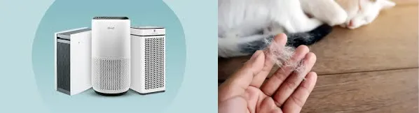 do air purifiers help with cat hair?