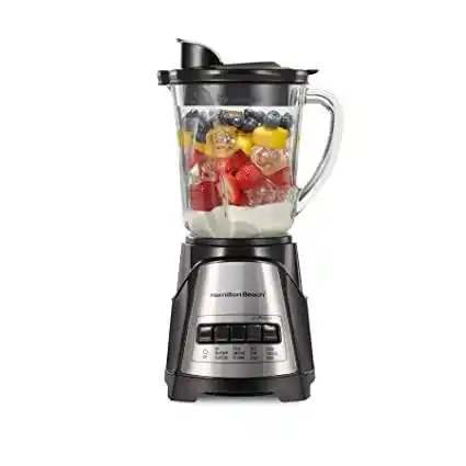 Hamilton Beach 58148A best blender for milk shakes