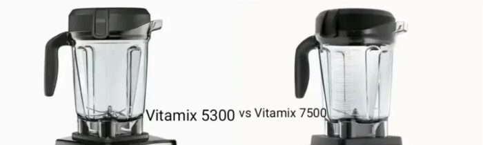 Vitamix 7500 and 5300 pitcher size differences 