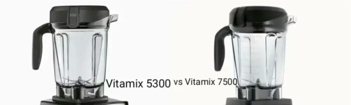 Vitamix 5300 vs 7500: which blender has the strongest motor? 3 Vitamix 7500 and 5300 pitcher size differences