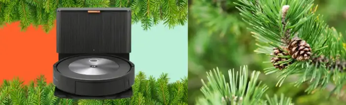 Can You Vacuum Pine Needles Without Damaging Your Cleaner? 2 can you vacuum pine needles