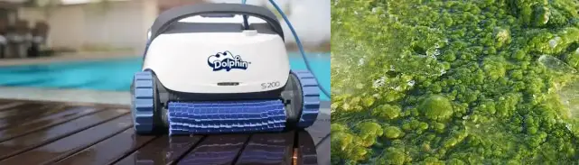 will a pool vacuum pick up algae